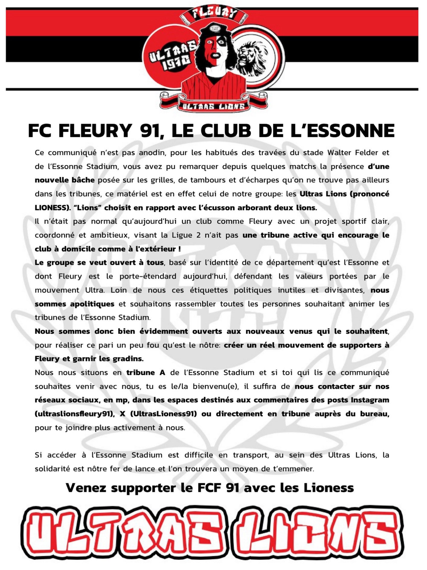 FC Fleury 91 : Le Club de l'Essonne